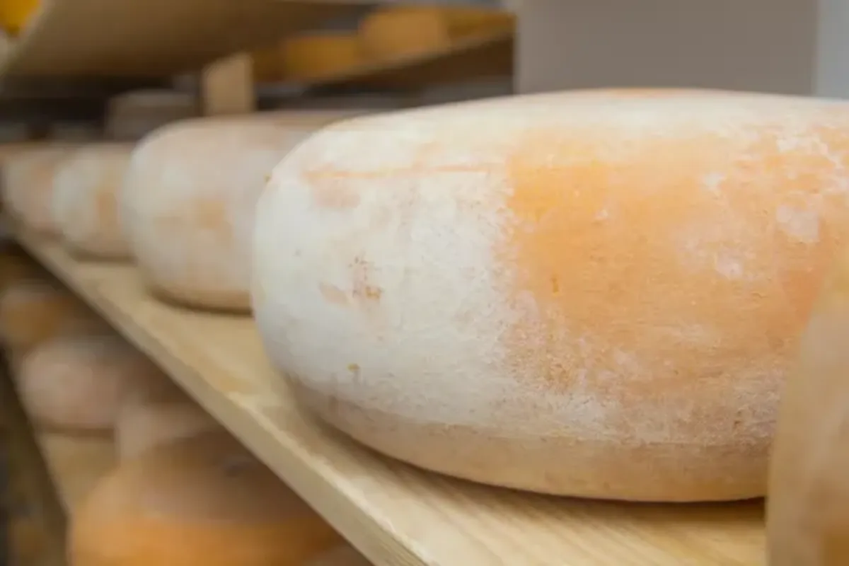 Moisture & temperature influence on cheese in storage